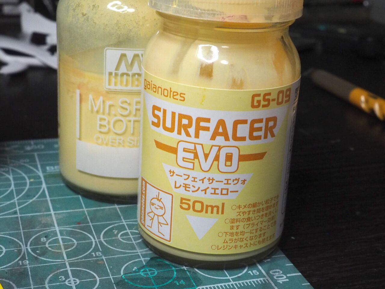 P8310045