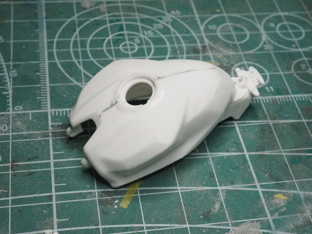 P9010051