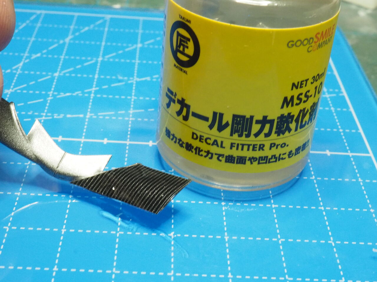 P1010295
